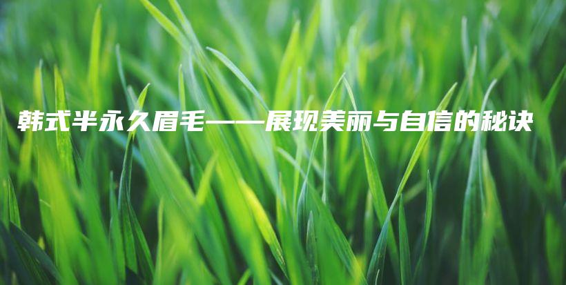 韓式半永久眉毛——展現(xiàn)美麗與自信的秘訣插圖