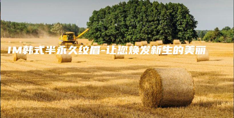 IM韓式半永久紋眉-讓您煥發(fā)新生的美麗插圖