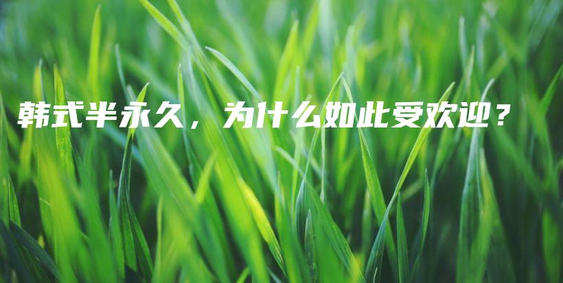 韓式半永久，為什么如此受歡迎？插圖
