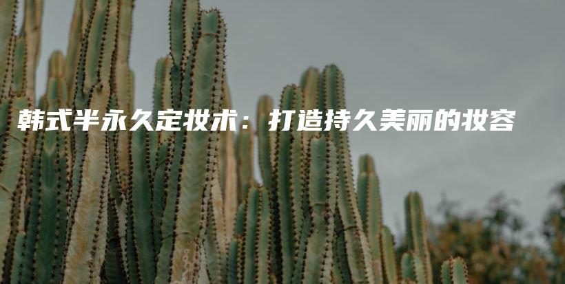 韓式半永久定妝術(shù)：打造持久美麗的妝容插圖