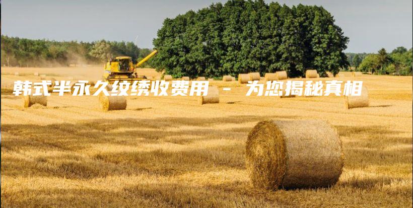 韓式半永久紋繡收費用 – 為您揭秘真相插圖