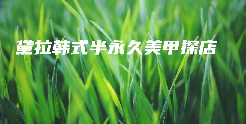 黛拉韓式半永久美甲探店插圖