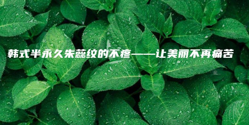 韓式半永久朱蕊紋的不疼——讓美麗不再痛苦插圖