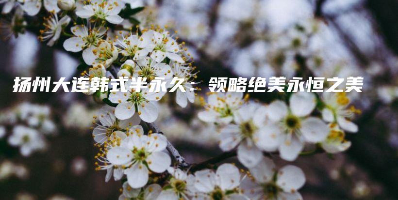 揚(yáng)州大連韓式半永久：領(lǐng)略絕美永恒之美插圖