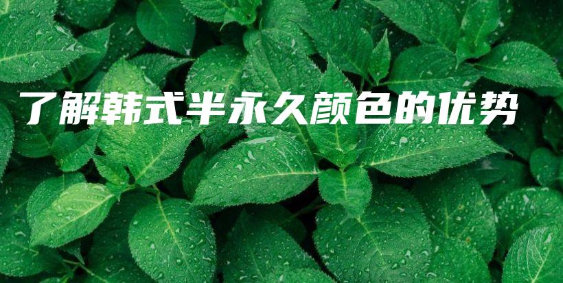 了解韓式半永久顏色的優(yōu)勢(shì)插圖