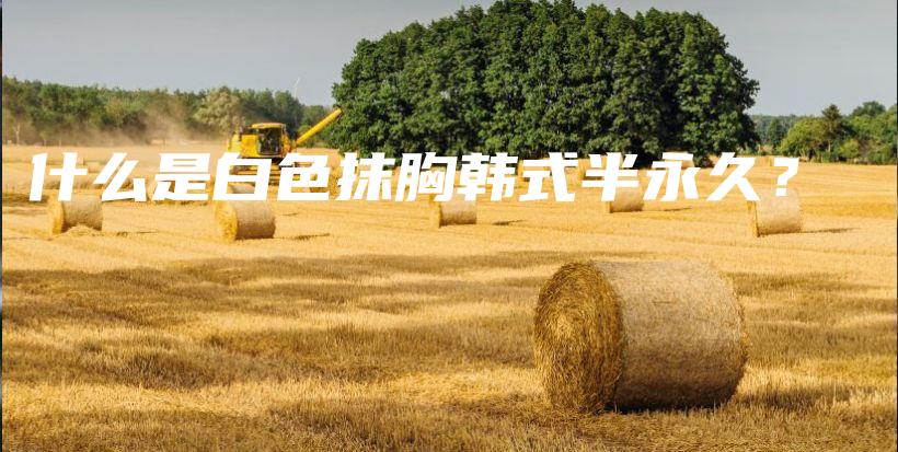 什么是白色抹胸韓式半永久？插圖