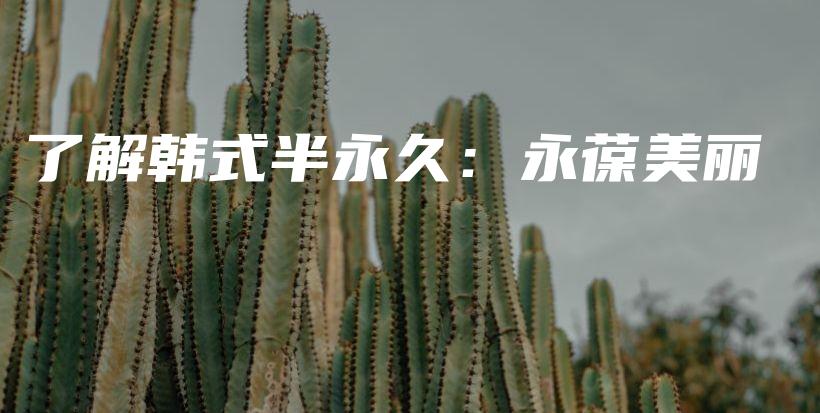 了解韓式半永久：永葆美麗插圖