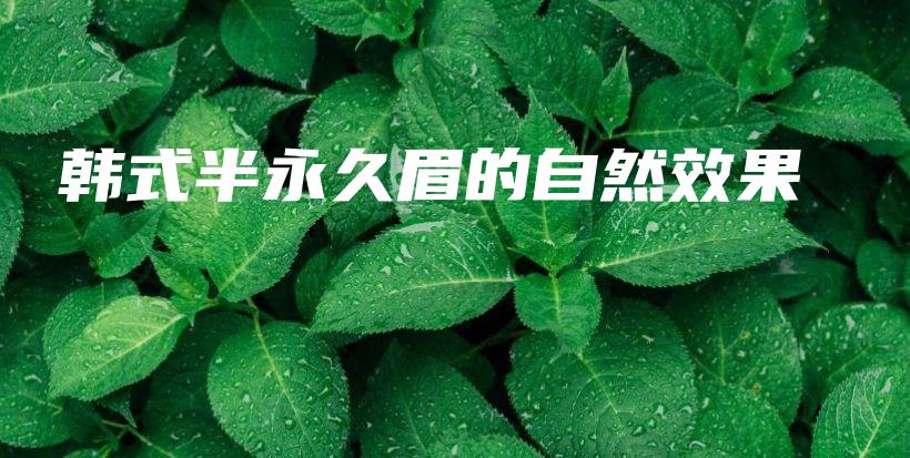 韓式半永久眉的自然效果插圖