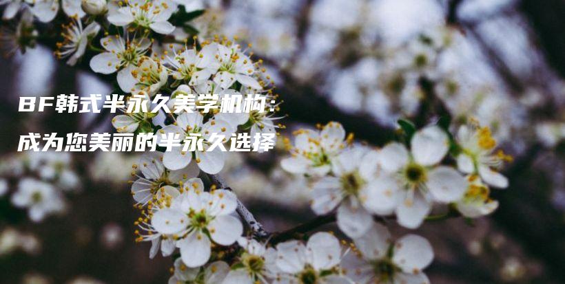 BF韓式半永久美學(xué)機(jī)構(gòu)：成為您美麗的半永久選擇插圖