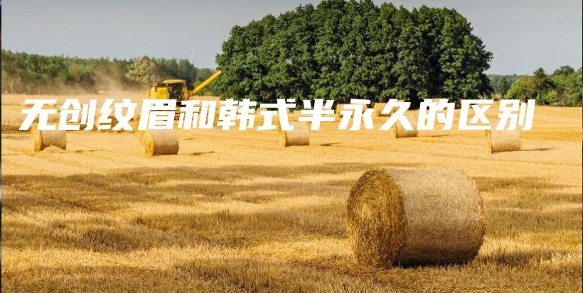 無創(chuàng)紋眉和韓式半永久的區(qū)別插圖