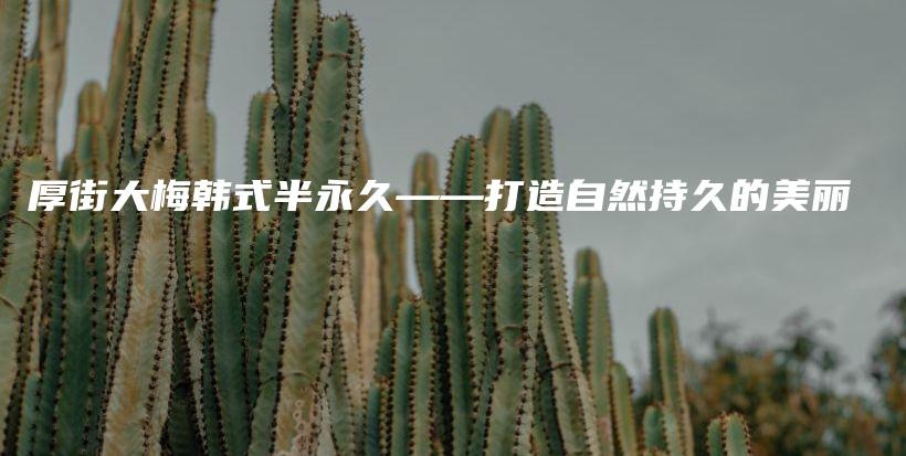 厚街大梅韓式半永久——打造自然持久的美麗插圖
