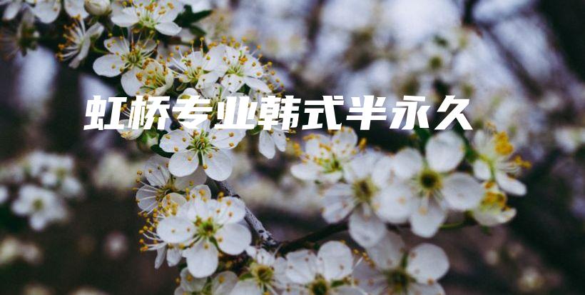 虹橋專業(yè)韓式半永久插圖