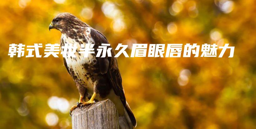 韓式美妝半永久眉眼唇的魅力插圖