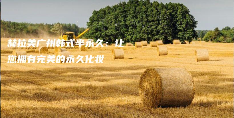 赫拉美廣州韓式半永久：讓您擁有完美的永久化妝插圖