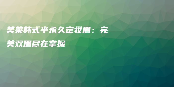 美萊韓式半永久定妝眉：完美雙眉盡在掌握插圖