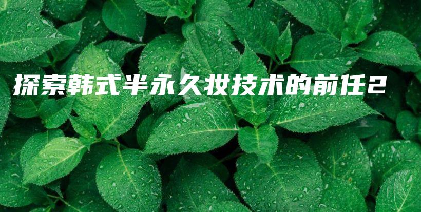 探索韓式半永久妝技術(shù)的前任2插圖