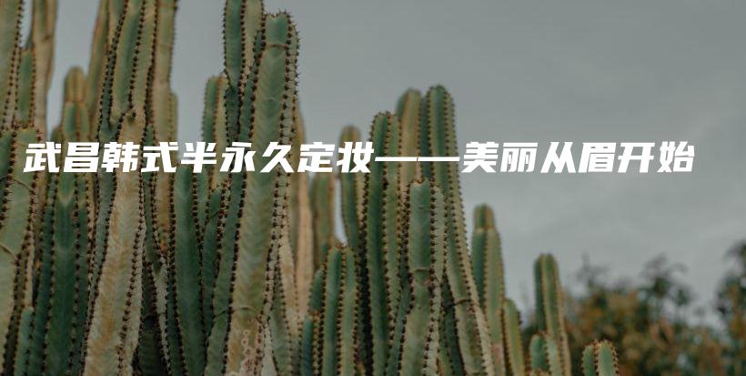 武昌韓式半永久定妝——美麗從眉開始插圖