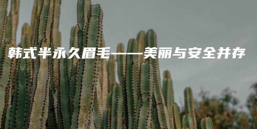 韓式半永久眉毛——美麗與安全并存插圖