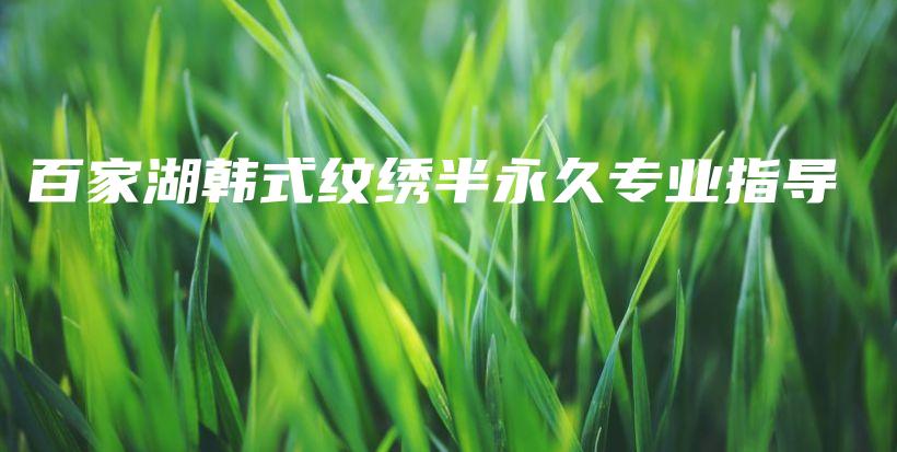 百家湖韓式紋繡半永久專業(yè)指導(dǎo)插圖