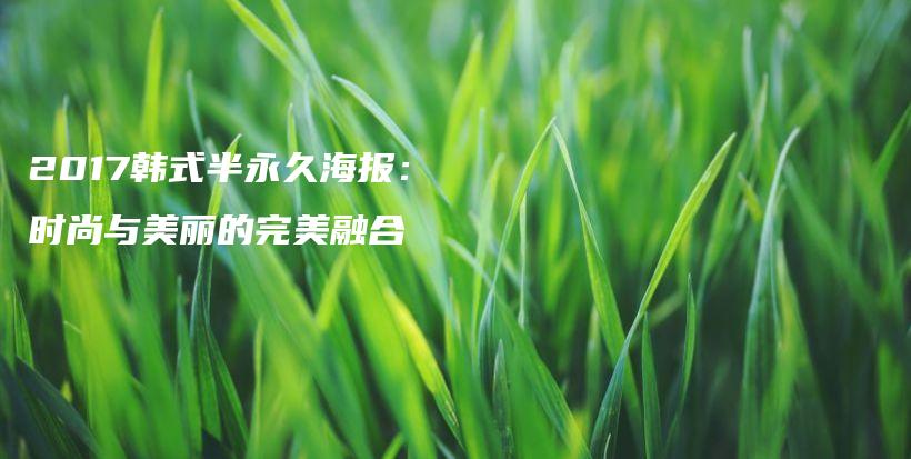 2017韓式半永久海報：時尚與美麗的完美融合插圖