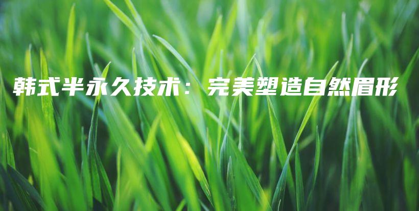 韓式半永久技術(shù)：完美塑造自然眉形插圖