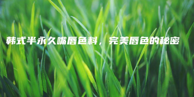 韓式半永久嘴唇色料，完美唇色的秘密插圖