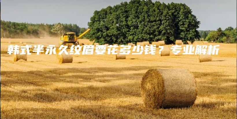 韓式半永久紋眉要花多少錢？專業(yè)解析插圖