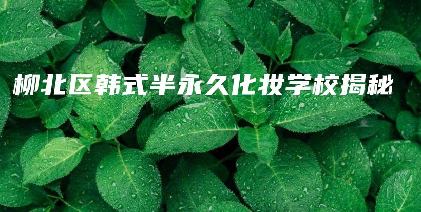 柳北區(qū)韓式半永久化妝學(xué)校揭秘插圖