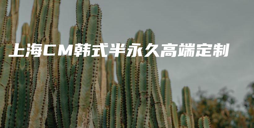 上海CM韓式半永久高端定制插圖