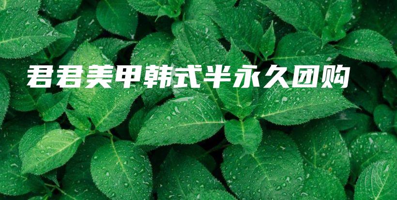 君君美甲韓式半永久團購插圖