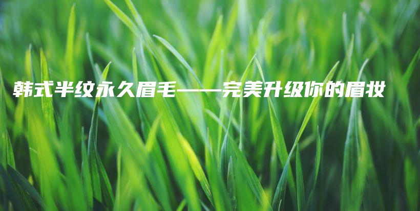 韓式半紋永久眉毛——完美升級你的眉妝插圖