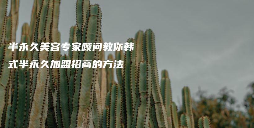 半永久美容專家顧問(wèn)教你韓式半永久加盟招商的方法插圖