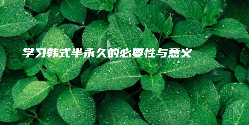 ★ 學(xué)習(xí)韓式半永久的必要性與意義 ★插圖