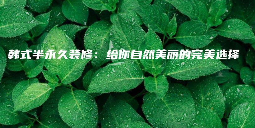 韓式半永久裝修：給你自然美麗的完美選擇插圖