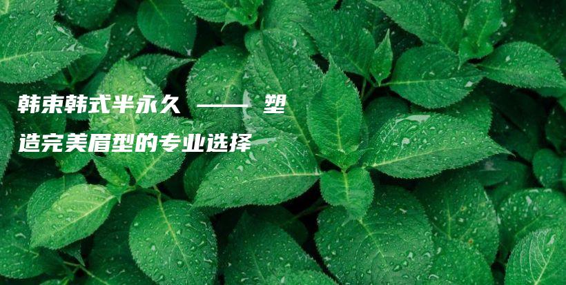 韓束韓式半永久 —— 塑造完美眉型的專業(yè)選擇插圖