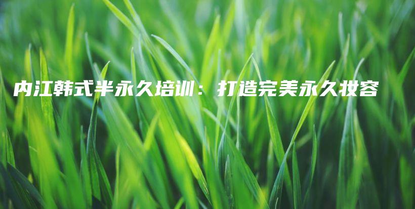 內(nèi)江韓式半永久培訓(xùn)：打造完美永久妝容插圖