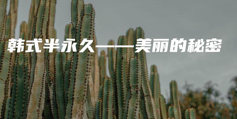 韓式半永久——美麗的秘密插圖