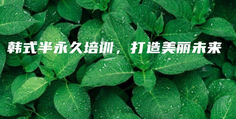 韓式半永久培訓(xùn)，打造美麗未來插圖