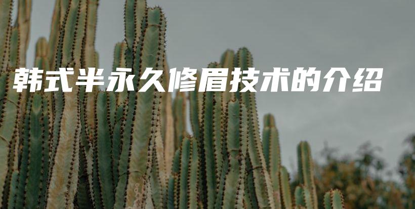韓式半永久修眉技術的介紹插圖