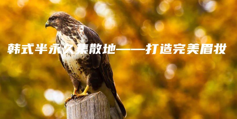 韓式半永久集散地——打造完美眉妝插圖