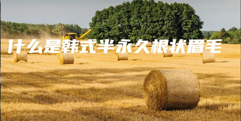 什么是韓式半永久根狀眉毛插圖