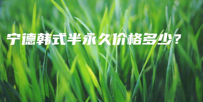寧德韓式半永久價格多少？插圖