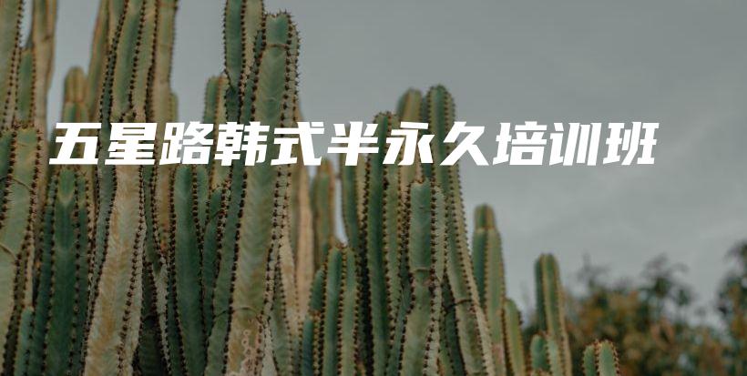 五星路韓式半永久培訓(xùn)班插圖