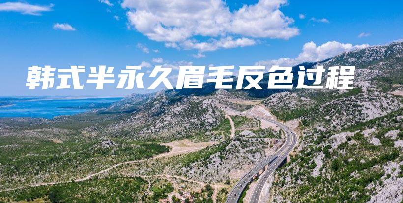 韓式半永久眉毛反色過程插圖