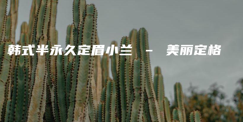 韓式半永久定眉小蘭 – 美麗定格插圖