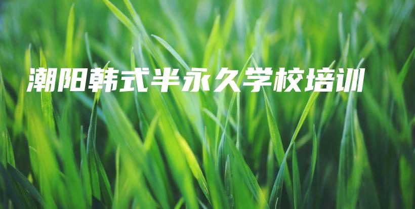 潮陽韓式半永久學(xué)校培訓(xùn)插圖