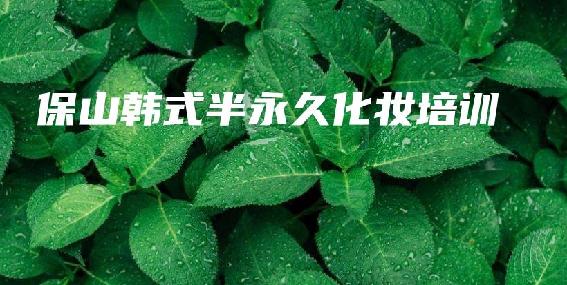 保山韓式半永久化妝培訓(xùn)插圖