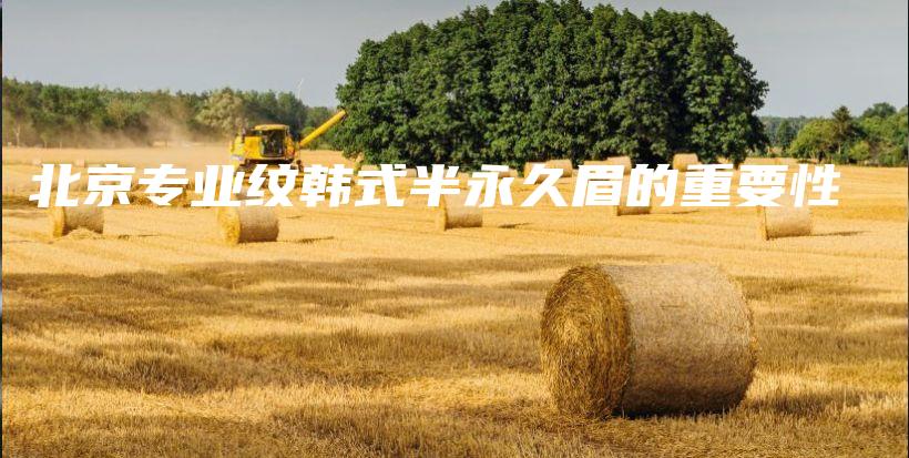 北京專業(yè)紋韓式半永久眉的重要性插圖