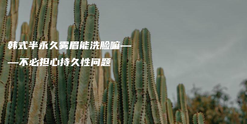 韓式半永久霧眉能洗臉嘛——不必?fù)?dān)心持久性問(wèn)題插圖