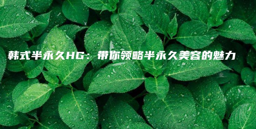 韓式半永久HG：帶你領(lǐng)略半永久美容的魅力插圖